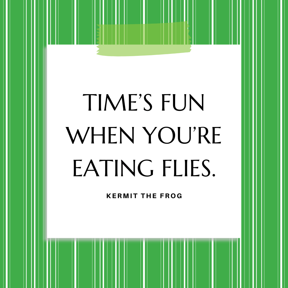 ”Time’s fun when you’re eating flies.” Kermit the Frog