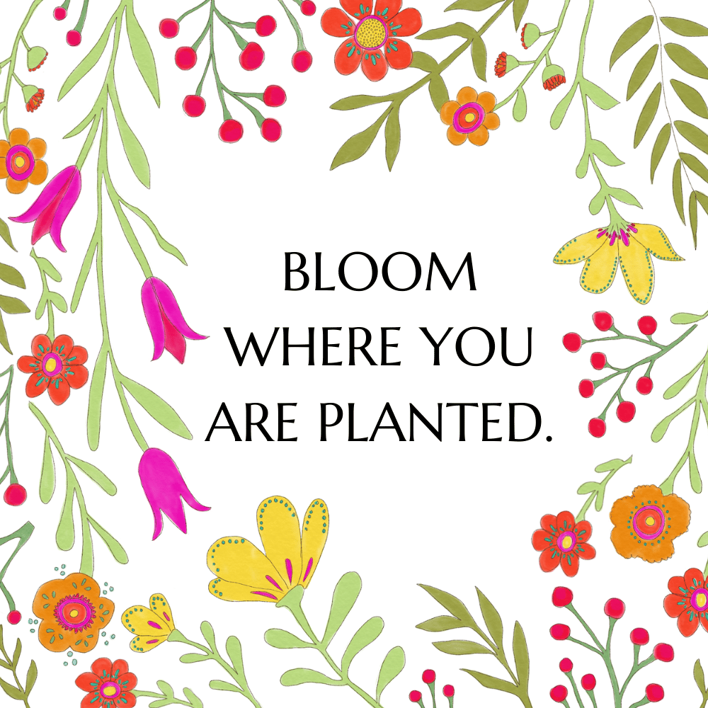 Bloom Where You’re Planted