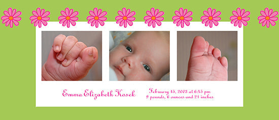 Daisy Border Birth Announcements