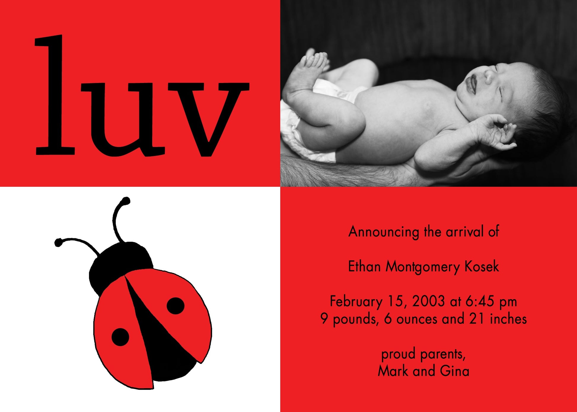 Luv + Bug Birth Announcements