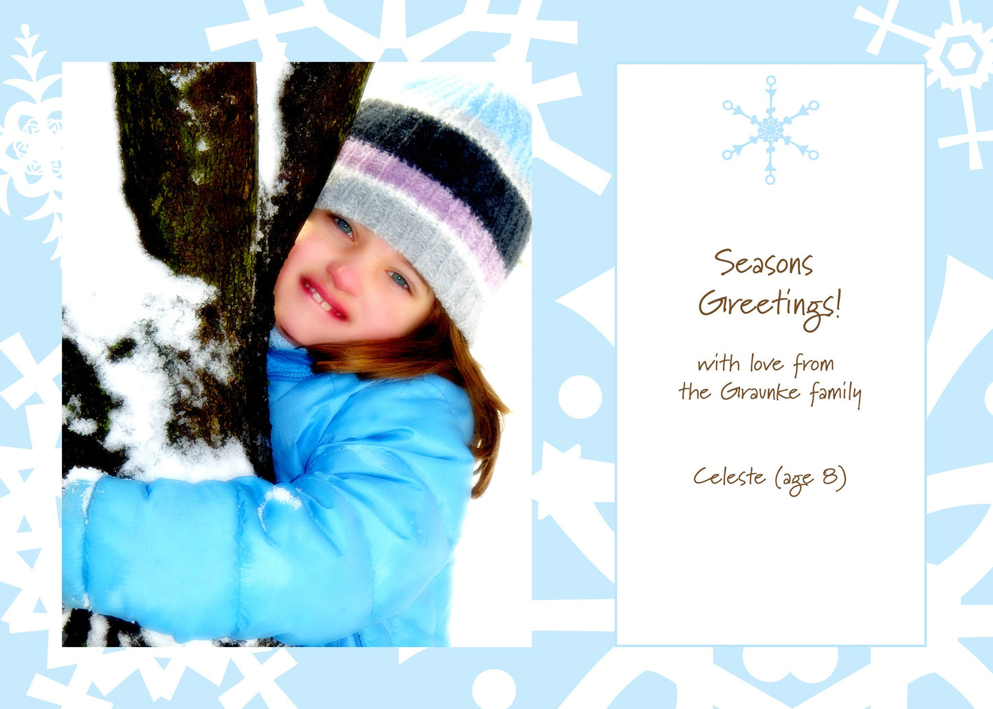 Icy Snowflakes Holiday Cards