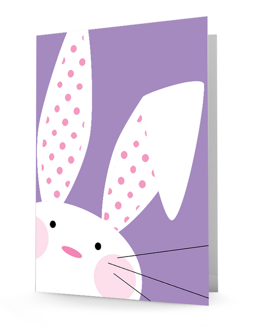 Birthday Bunny Folder, School Folder, School Supplies, Laminated 2-pocket folder