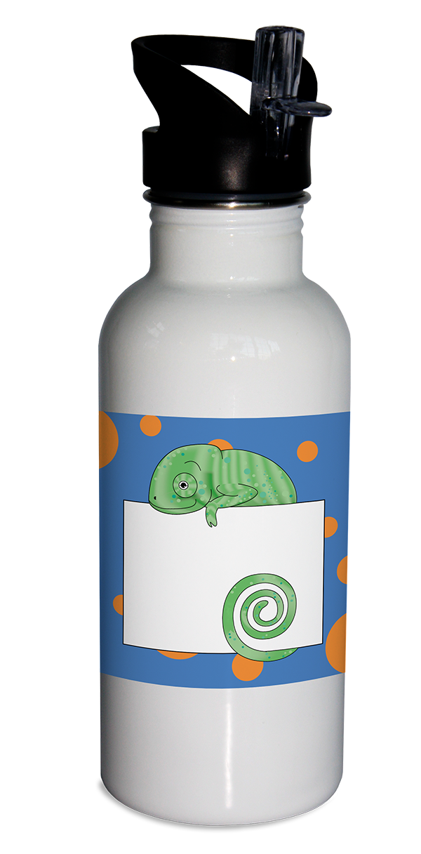 personalized water bottle, stainless steel water bottle, chameleon water bottle